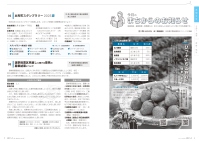 今月のまちからのお知らせ